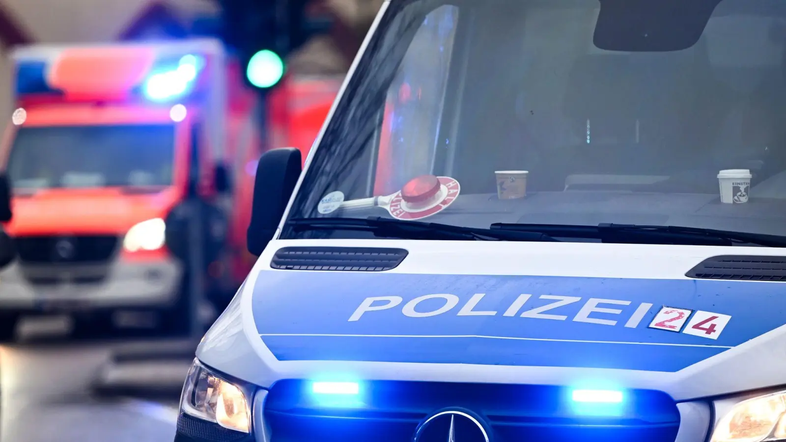 Wiederbelebungsmaßnahmen von Polizei und Rettungsdienst blieben erfolglos.  (Symbolbild: Jens Kalaene/dpa)