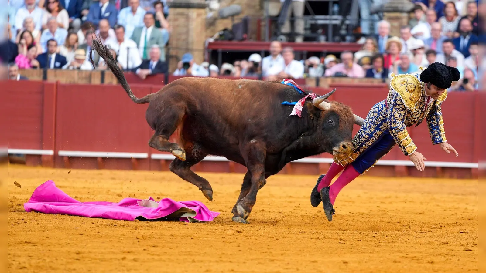 Der mehr als 500 Kilogramm schwere Bulle Clandestino spießte den Star-Torero von hinten auf. (Bild: Joaquín Corchero/EUROPA PRESS/dpa)