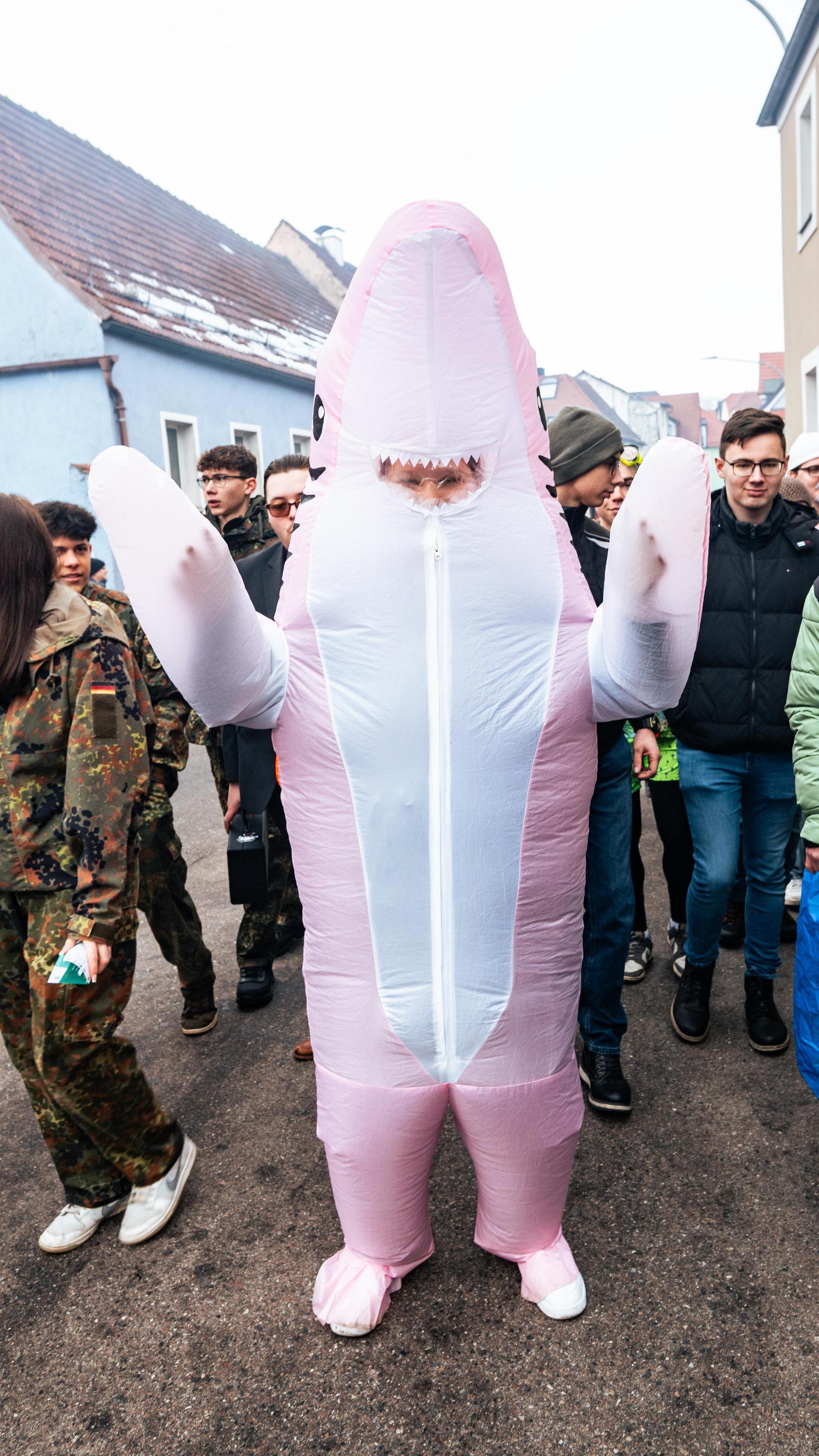 Am Sonntag wurde es bunt beim Pressather Faschingszug. (Bild: Hannes Stock)