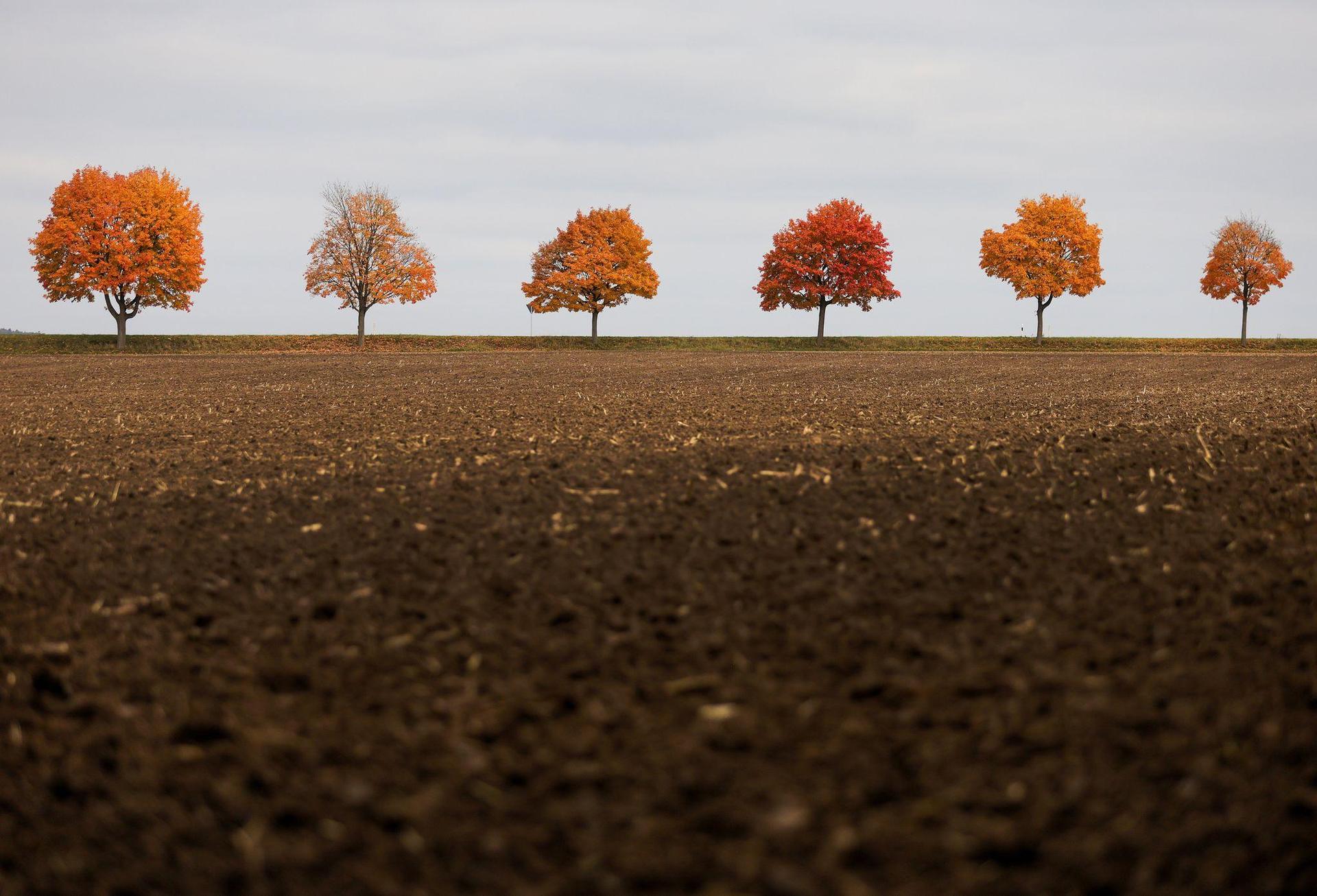 Ein 21-Jähriger verursacht in Teublitz einen erheblichen Flurschaden, als er mit seinem Kleintransporter über ein Feld abkürzt. (Symbolbild: Thomas Warnack /dpa)