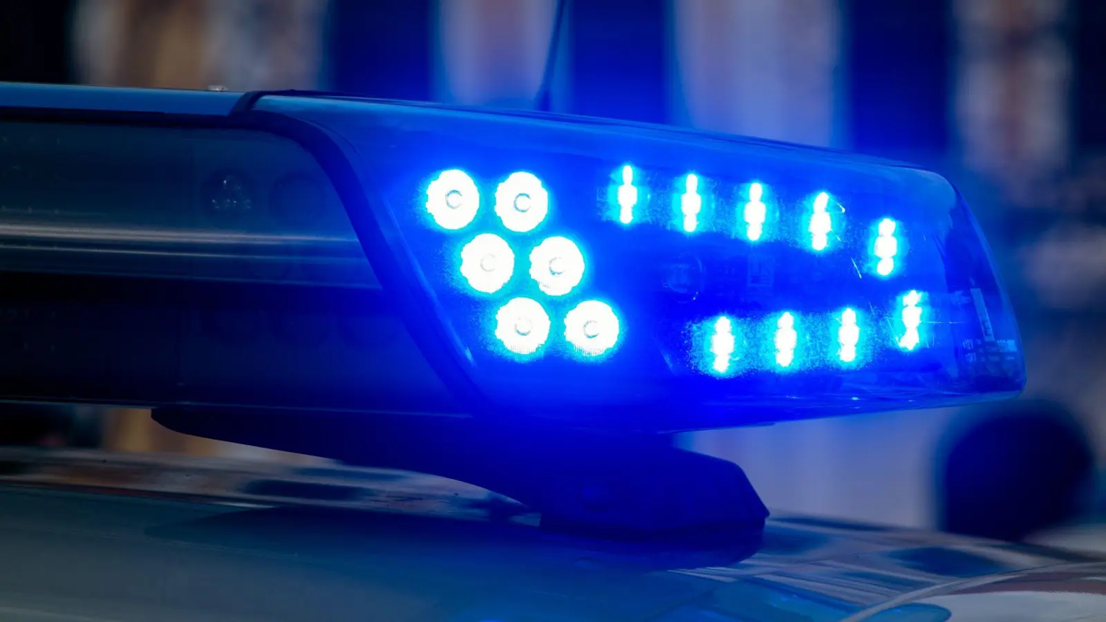 In Etzenricht wurde eine Frau von einem angeblichen Schädlingsbekämpfer betrogen. Polizei warnt vor unseriösen Anbietern. (Symbolbild: Marijan Murat/dpa)