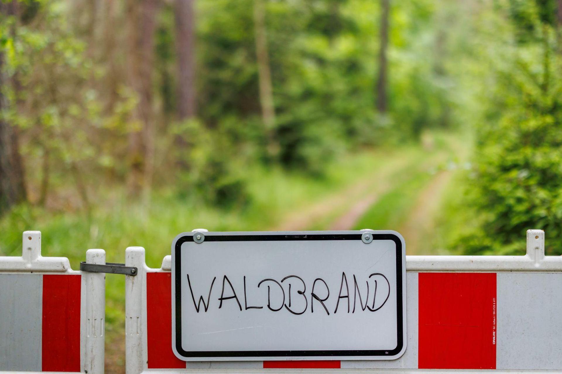 Die Waldbrandgefahr in Bayern steigt. (Archivbild) (Bild: Daniel Karmann/dpa)