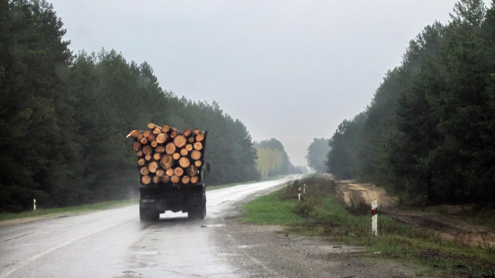 Die Polizei stoppte überladene Holztransporter in Bärnau und Plößberg. (Symbolbild: Andreas Stein/dpa)