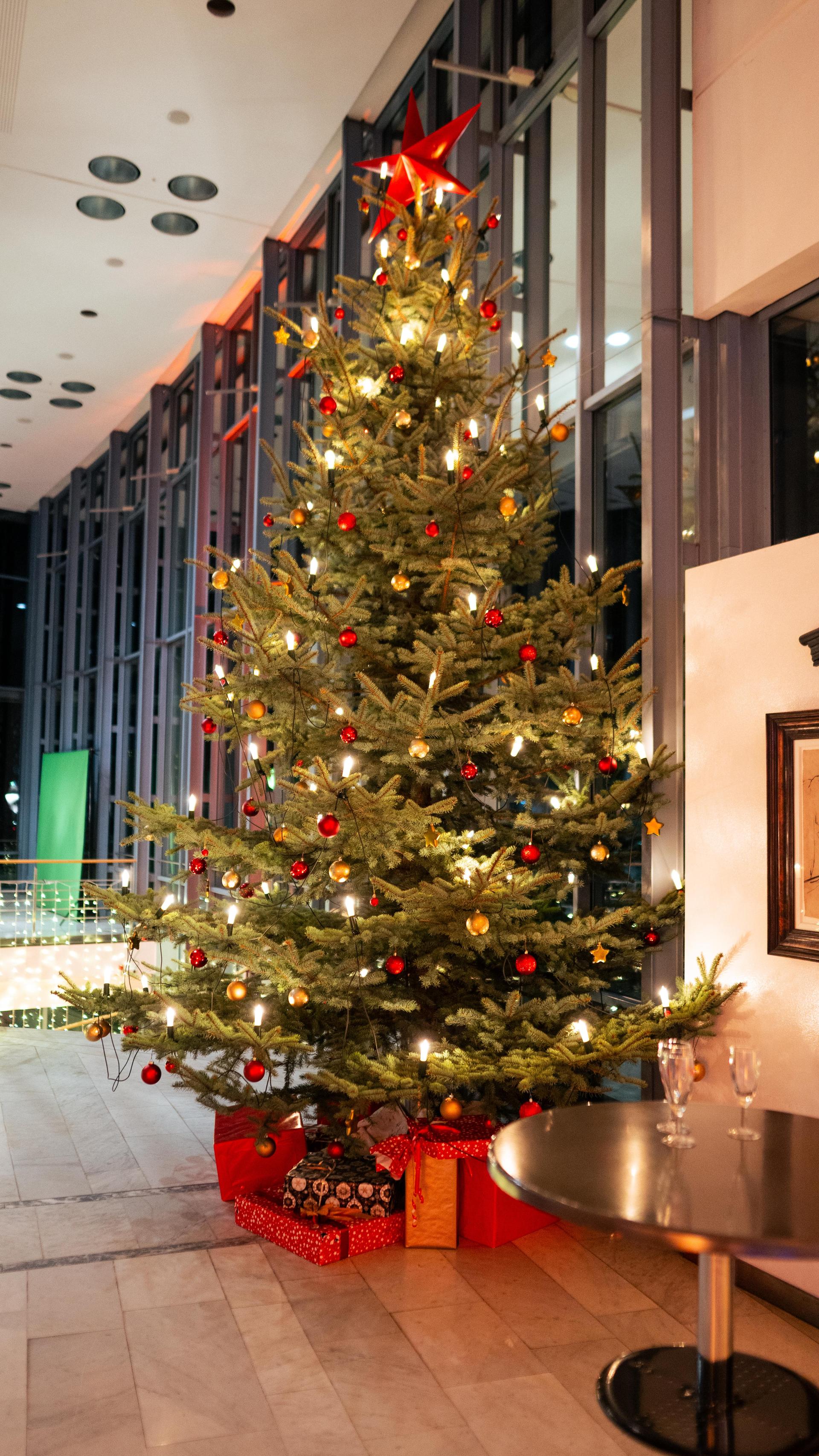 Am Samstag wurde es in der Weidener Max-Reger-Halle außergewöhnlich festlich. (Bild: Hannes Stock)