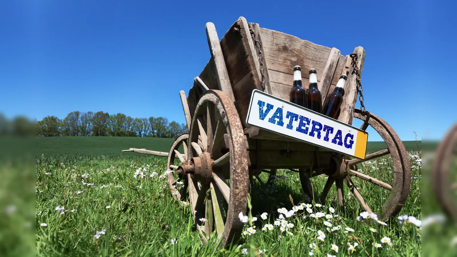 Das geht am langen Wochenende in Weiden. (Symbolbild: Ingo Bartussek/adobe)