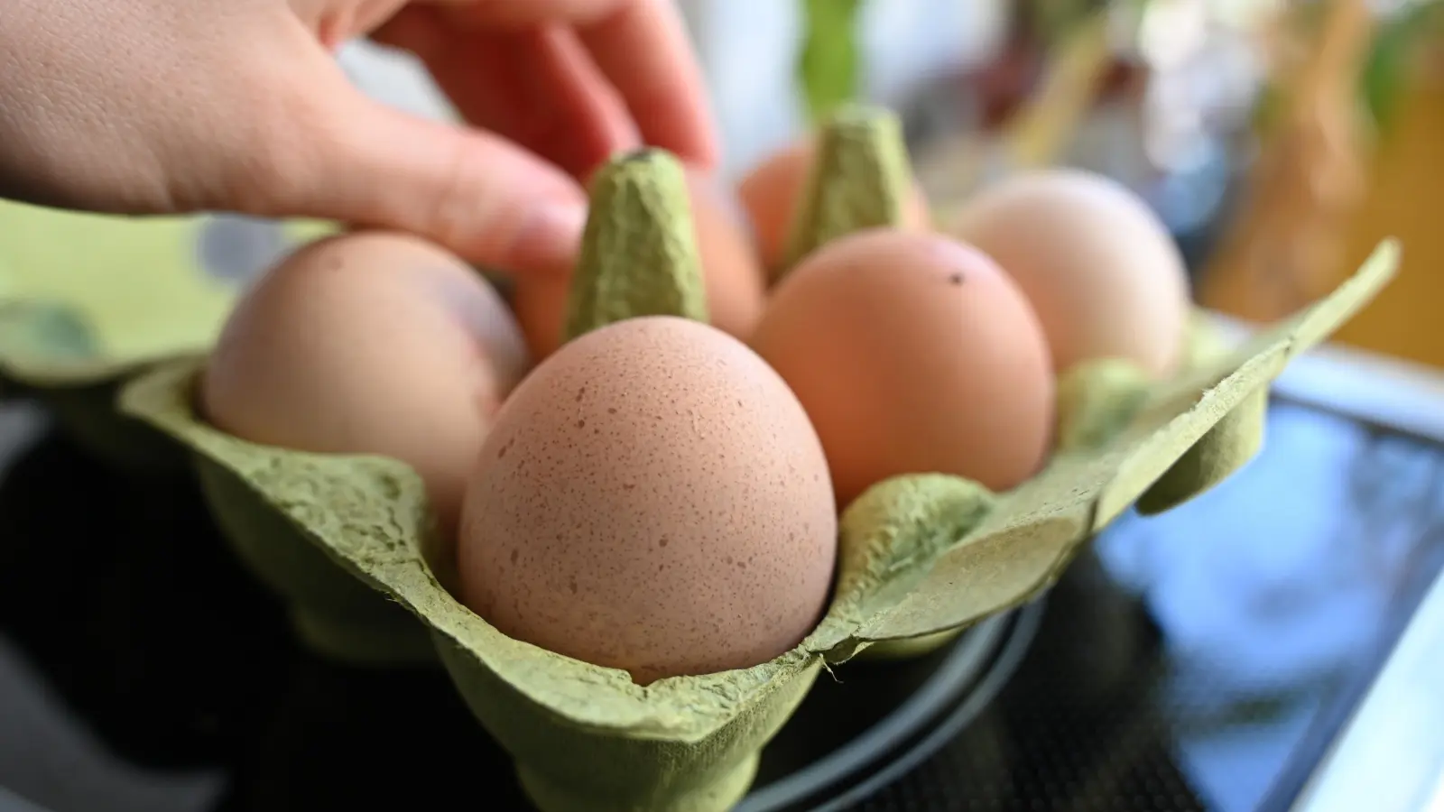In Weiden wurde eine 18-Jährige durch einen Eierwurf am Kopf verletzt. Die Polizei sucht nach Hinweisen auf den Täter. (Symbolbild: Elisa Schu/dpa)