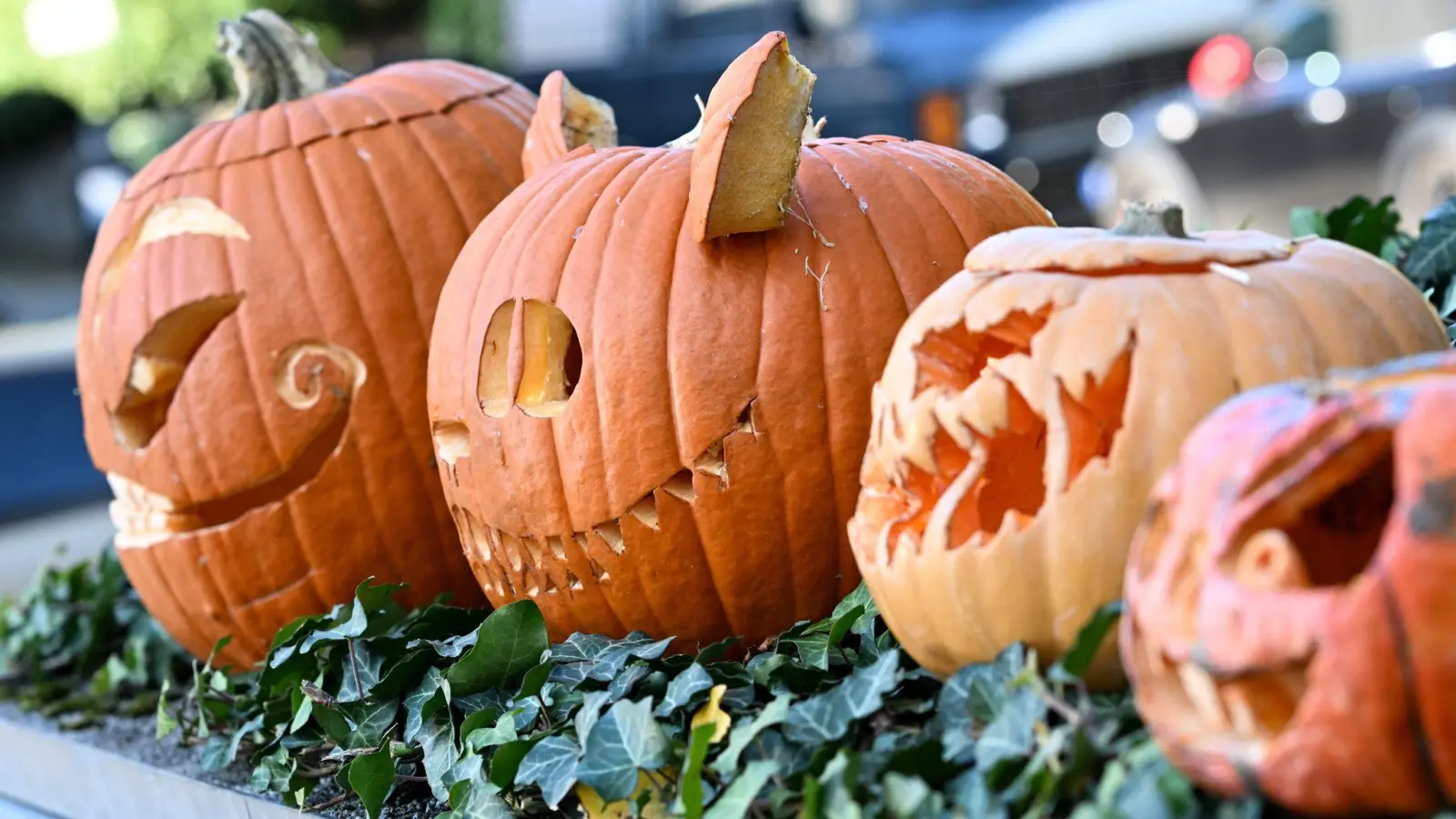 Die Polizei in der Oberpfalz ruft zu einem verantwortungsvollen Umgang mit Halloween-Streichen auf. (Bild: Polizei Oberpfalz)